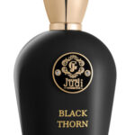 בלאק ת׳ורן גולדן ג׳ודי 100 מ״ל א.ד.פ - Black Thorn Golden Judi 100ML EDP